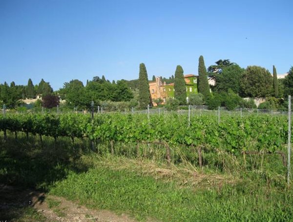 azienda agricola in vendita a Grottaferrata