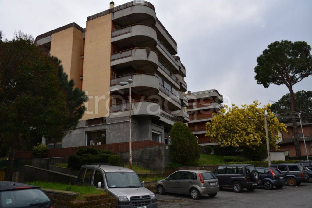 negozio in vendita a Grottaferrata