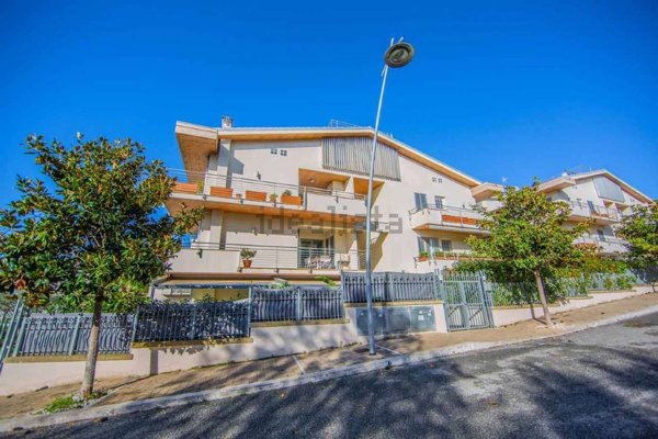 appartamento in vendita a Grottaferrata