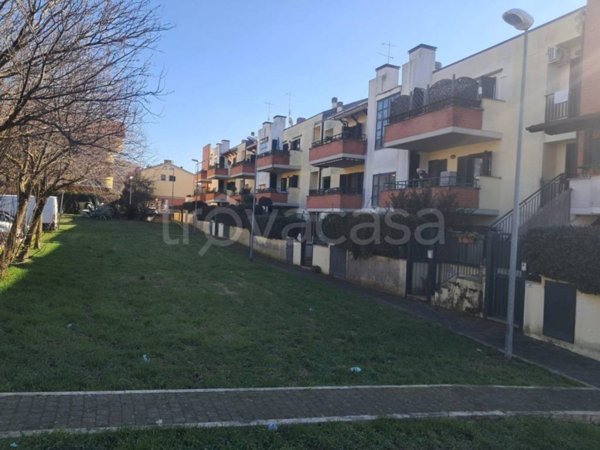 appartamento in vendita a Grottaferrata