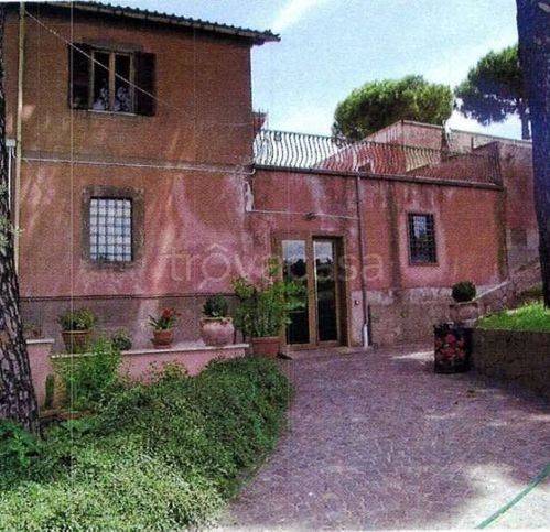 negozio in vendita a Grottaferrata