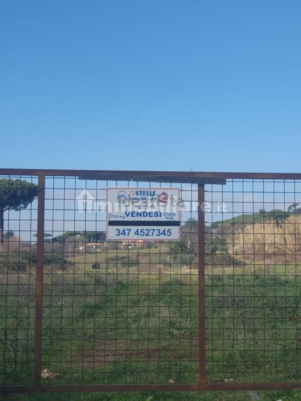casa indipendente in vendita a Grottaferrata in zona Molara