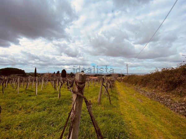 terreno agricolo in vendita a Grottaferrata