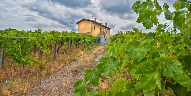 casa indipendente in vendita a Grottaferrata