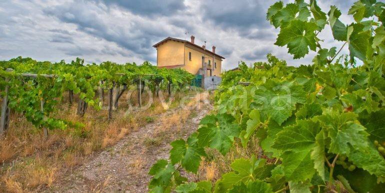 appartamento in vendita a Grottaferrata