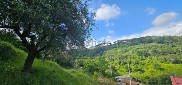 terreno agricolo in vendita a Grottaferrata