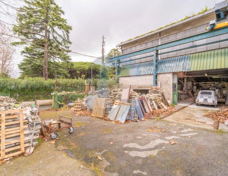 locale commerciale in vendita a Grottaferrata