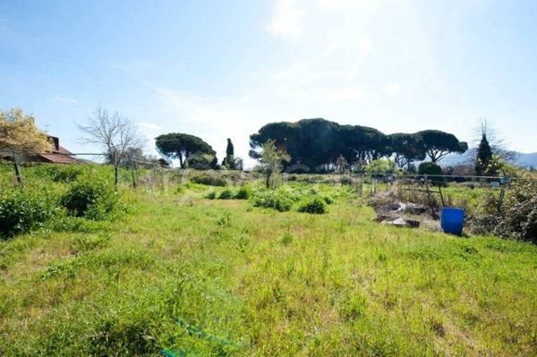 terreno agricolo in vendita a Grottaferrata
