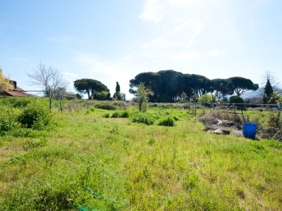 casa indipendente in vendita a Grottaferrata