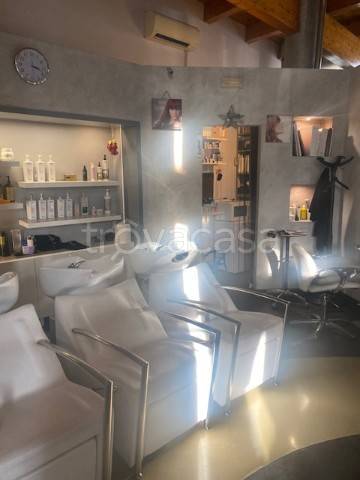 negozio in vendita a Grottaferrata