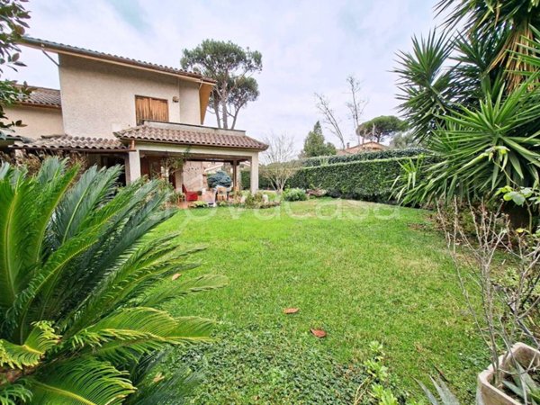 casa indipendente in vendita a Grottaferrata