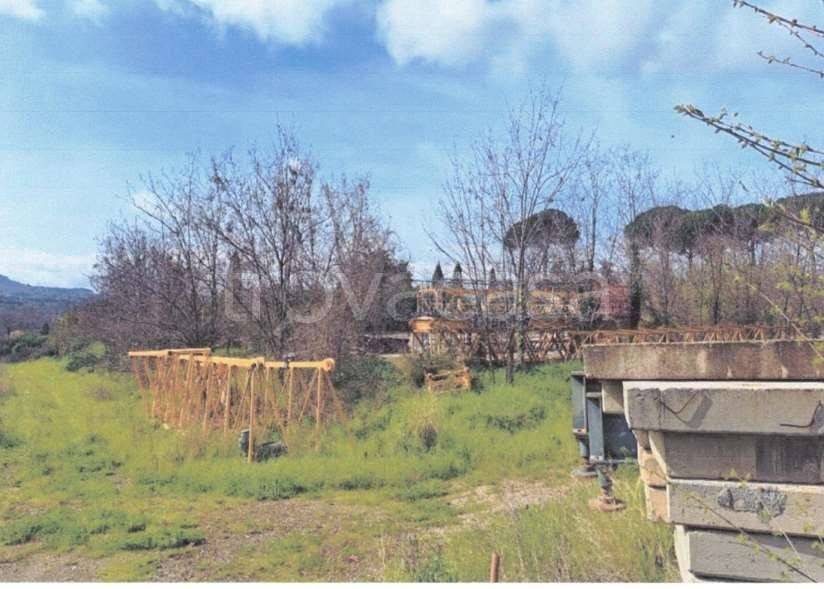 terreno agricolo in vendita a Grottaferrata