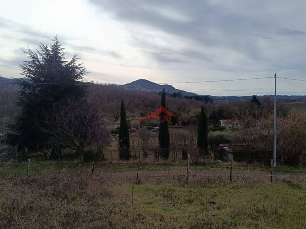 terreno agricolo in vendita a Grottaferrata