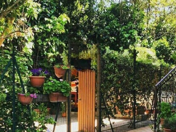 appartamento in vendita a Grottaferrata