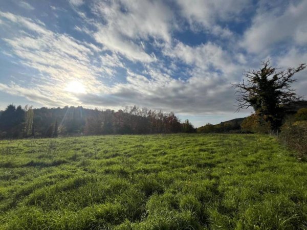 terreno agricolo in vendita a Grottaferrata in zona Molara