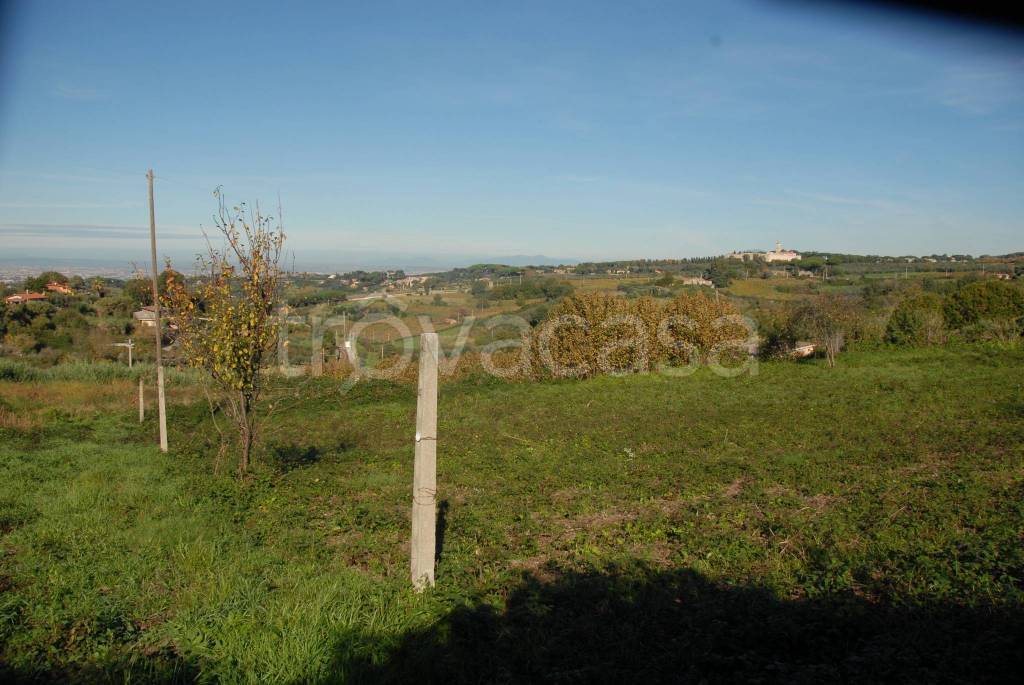 terreno agricolo in vendita a Grottaferrata