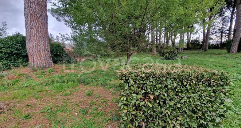 terreno agricolo in vendita a Grottaferrata