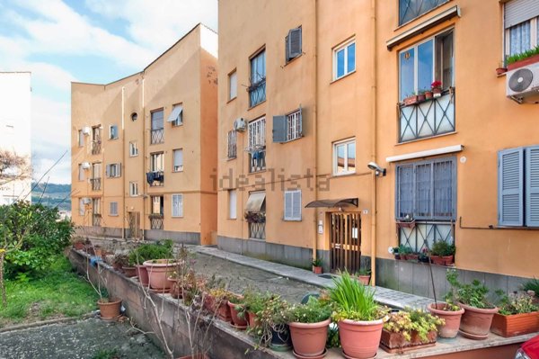 immagine annuncio 0 di 1