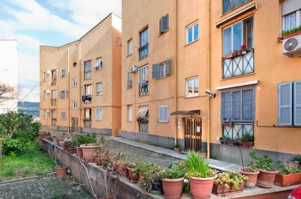 appartamento in vendita a Grottaferrata