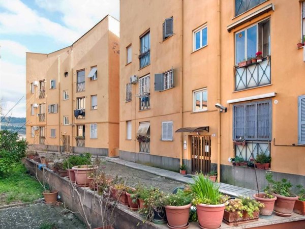 appartamento in vendita a Grottaferrata