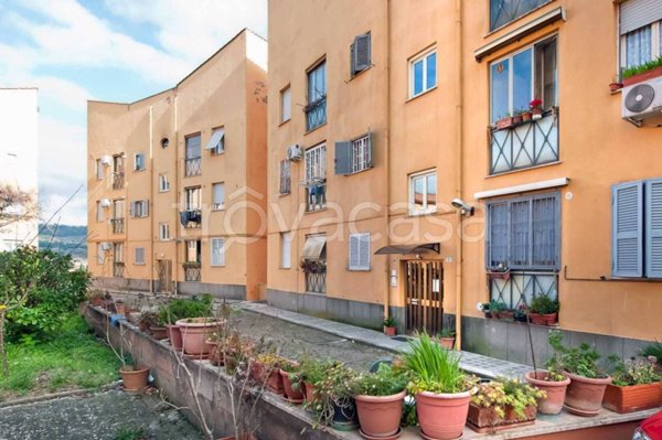 appartamento in vendita a Grottaferrata