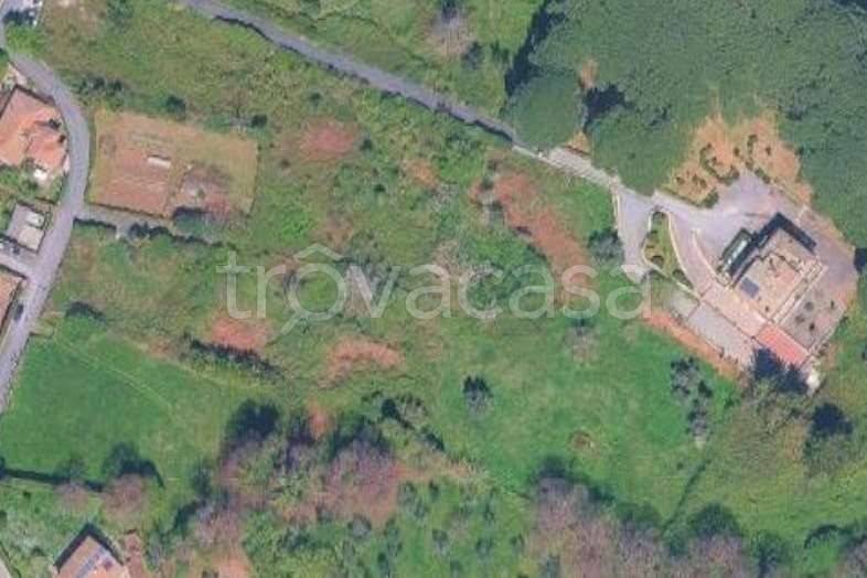 terreno agricolo in vendita a Grottaferrata
