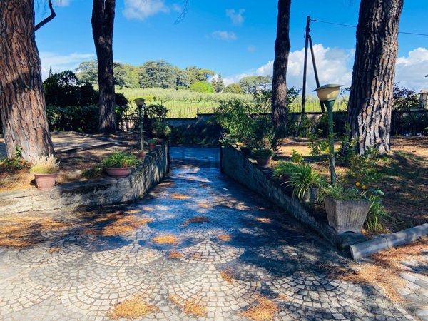 appartamento in vendita a Grottaferrata