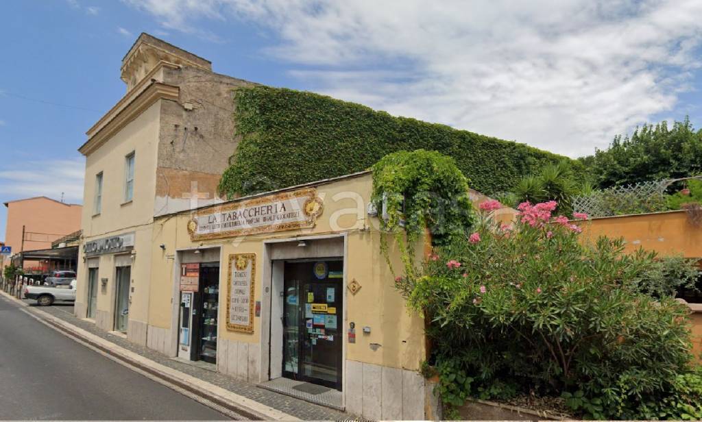 negozio in vendita a Grottaferrata