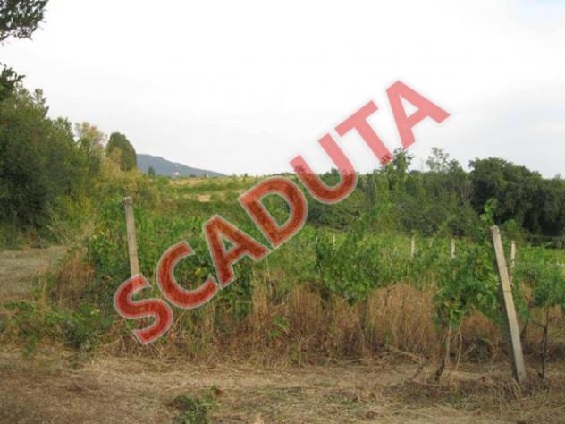 terreno edificabile in vendita a Grottaferrata