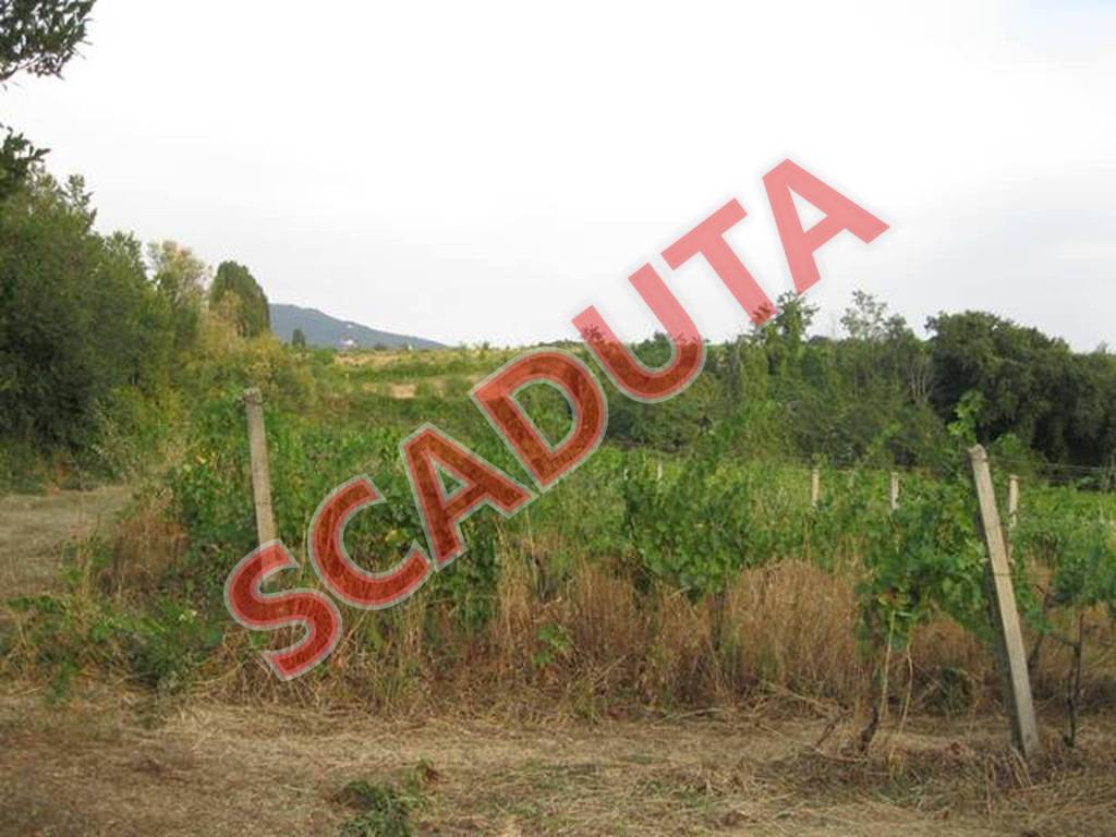 terreno edificabile in vendita a Grottaferrata