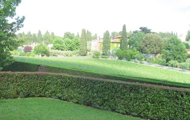 azienda agricola in vendita a Grottaferrata