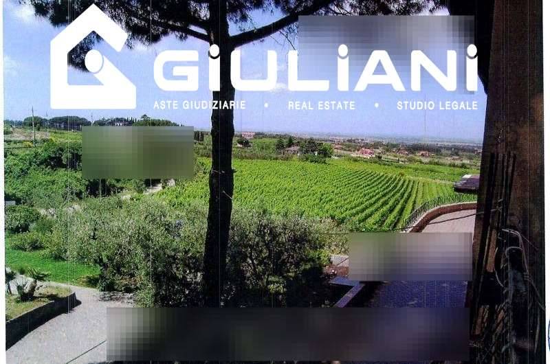 azienda agricola in vendita a Grottaferrata