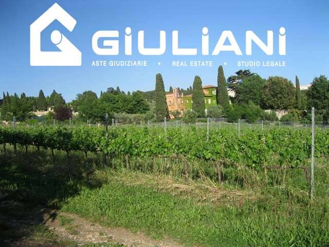 azienda agricola in vendita a Grottaferrata