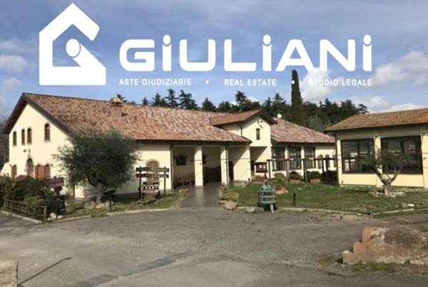 azienda agricola in vendita a Grottaferrata
