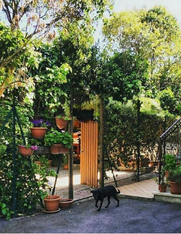 appartamento in vendita a Grottaferrata