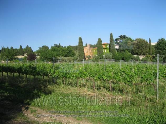 terreno edificabile in vendita a Grottaferrata