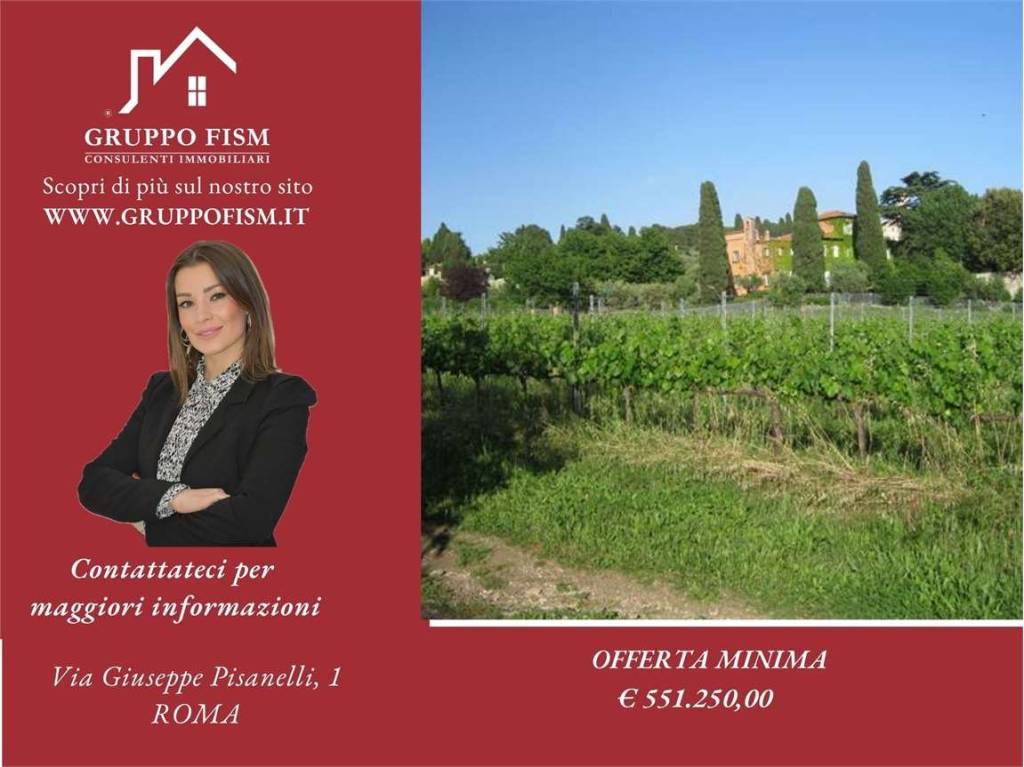 azienda agricola in vendita a Grottaferrata