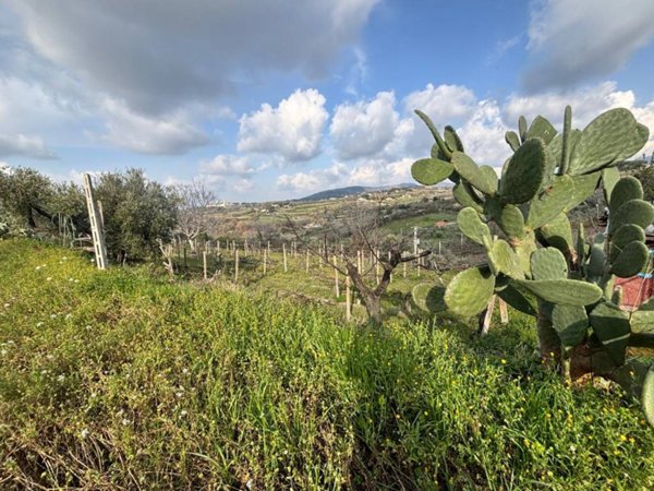 terreno agricolo in vendita a Grottaferrata