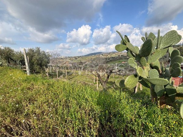 terreno agricolo in vendita a Grottaferrata