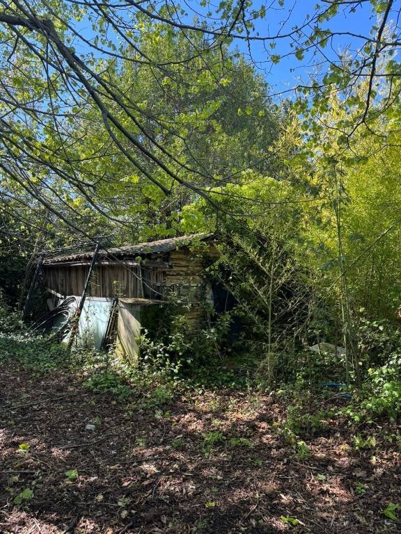 terreno agricolo in vendita a Grottaferrata