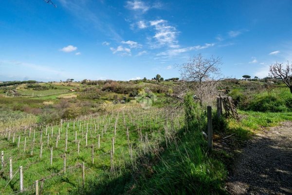terreno agricolo in vendita a Grottaferrata