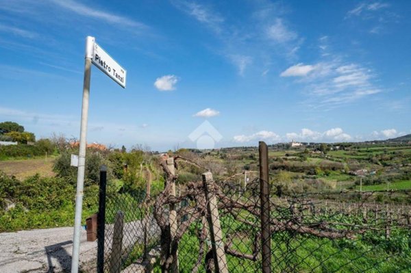 terreno agricolo in vendita a Grottaferrata