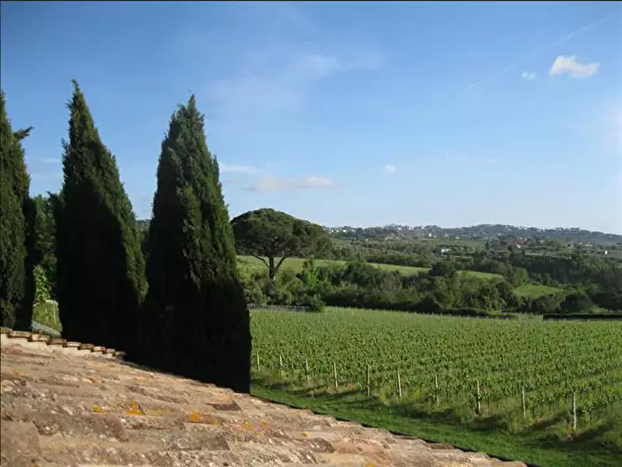 azienda agricola in vendita a Grottaferrata