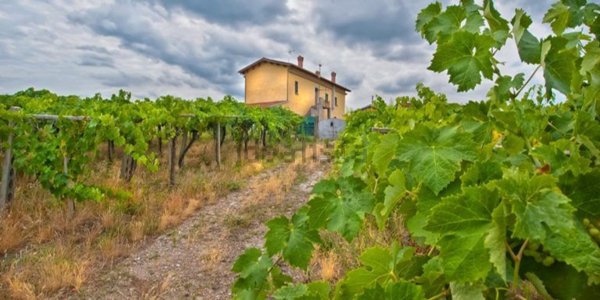 appartamento in vendita a Grottaferrata