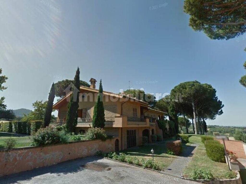 negozio in vendita a Grottaferrata