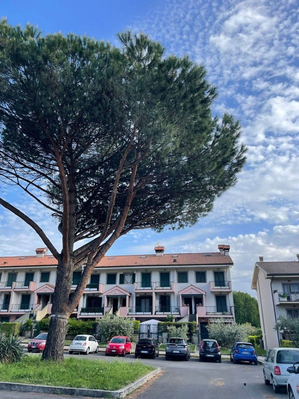 appartamento in vendita a Grottaferrata