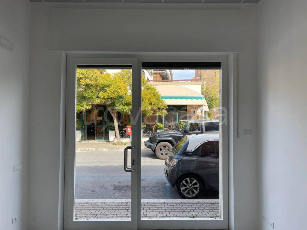 negozio in vendita a Grottaferrata