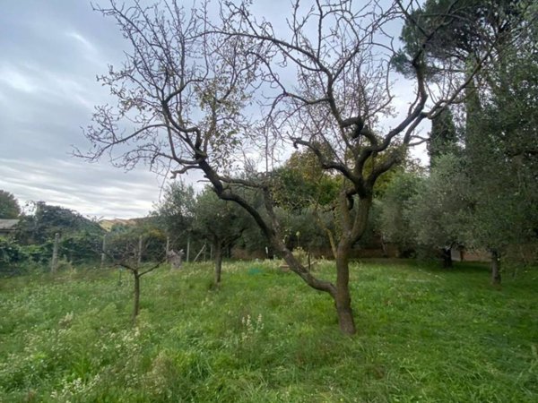 terreno agricolo in vendita a Grottaferrata