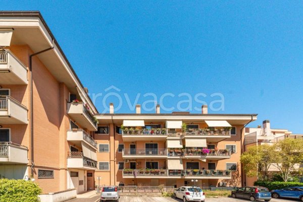 appartamento in vendita a Grottaferrata in zona Molara