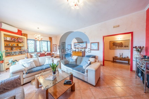 appartamento in vendita a Grottaferrata